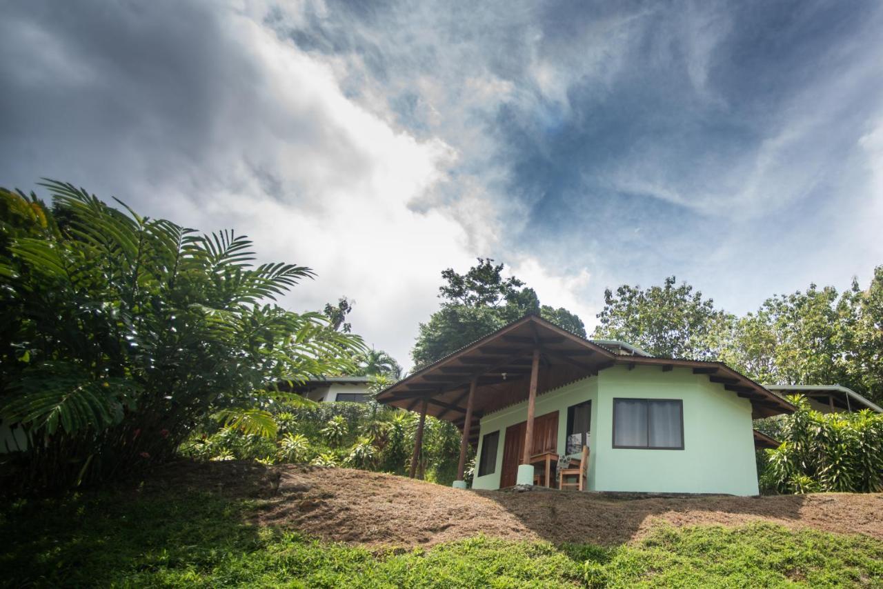 Ballena Paraiso Lodge Uvita Exterior foto